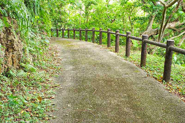 downhill, trail,paved, fence