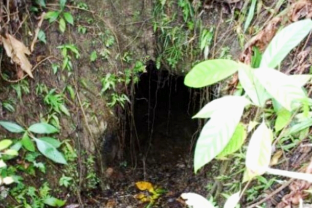 Sejarah Kelam Romusha Tambang Batu Bara Di Bayah