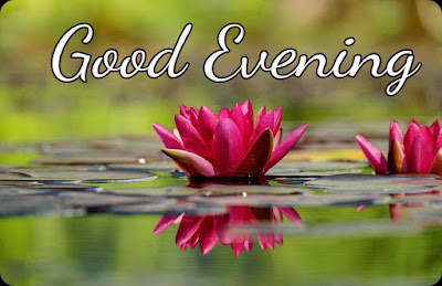 Good evening photo wallpaper Good evening photo wallpaper