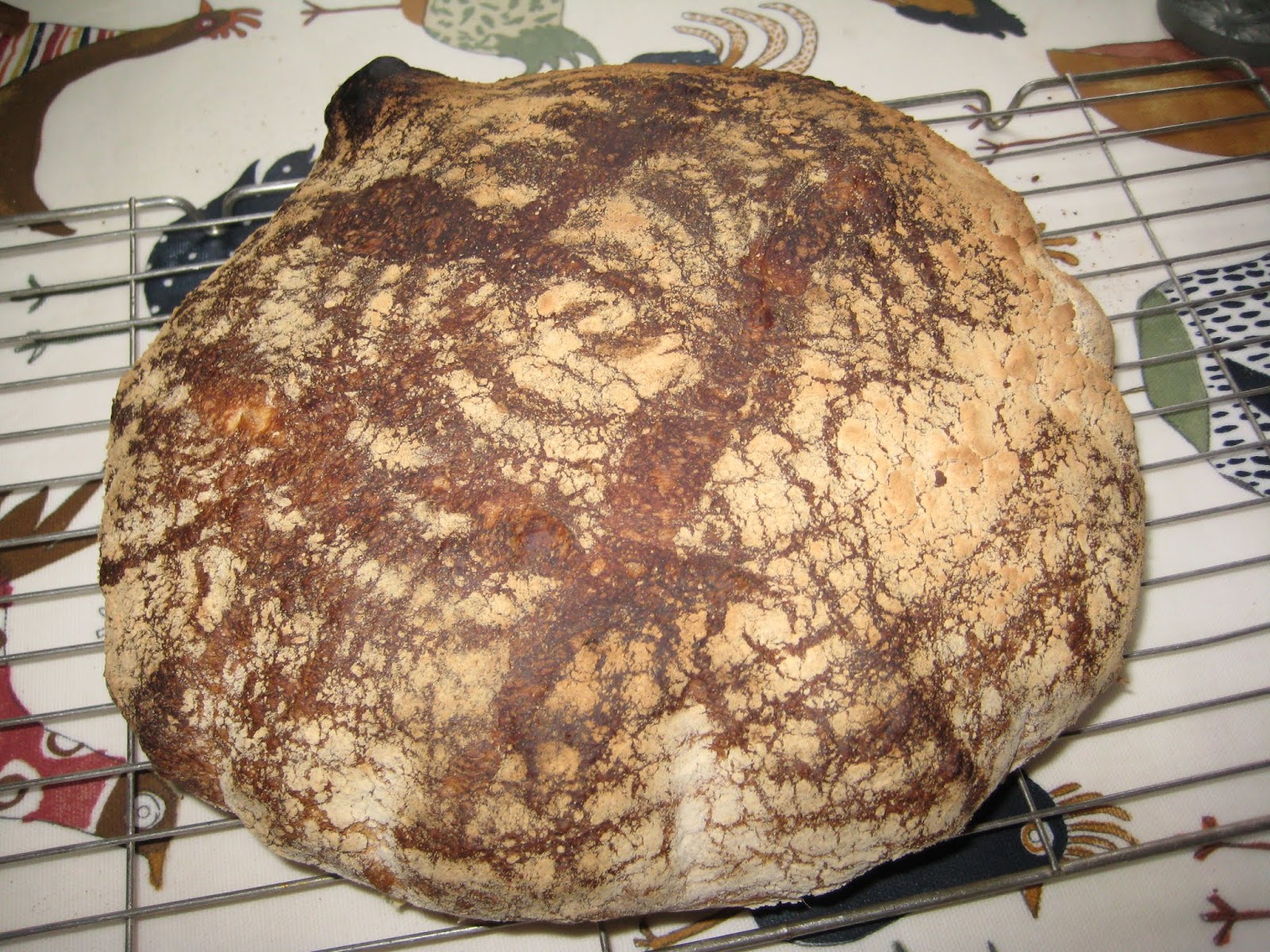 Mal's Edinburgh Allotment Sourdough a GoGo