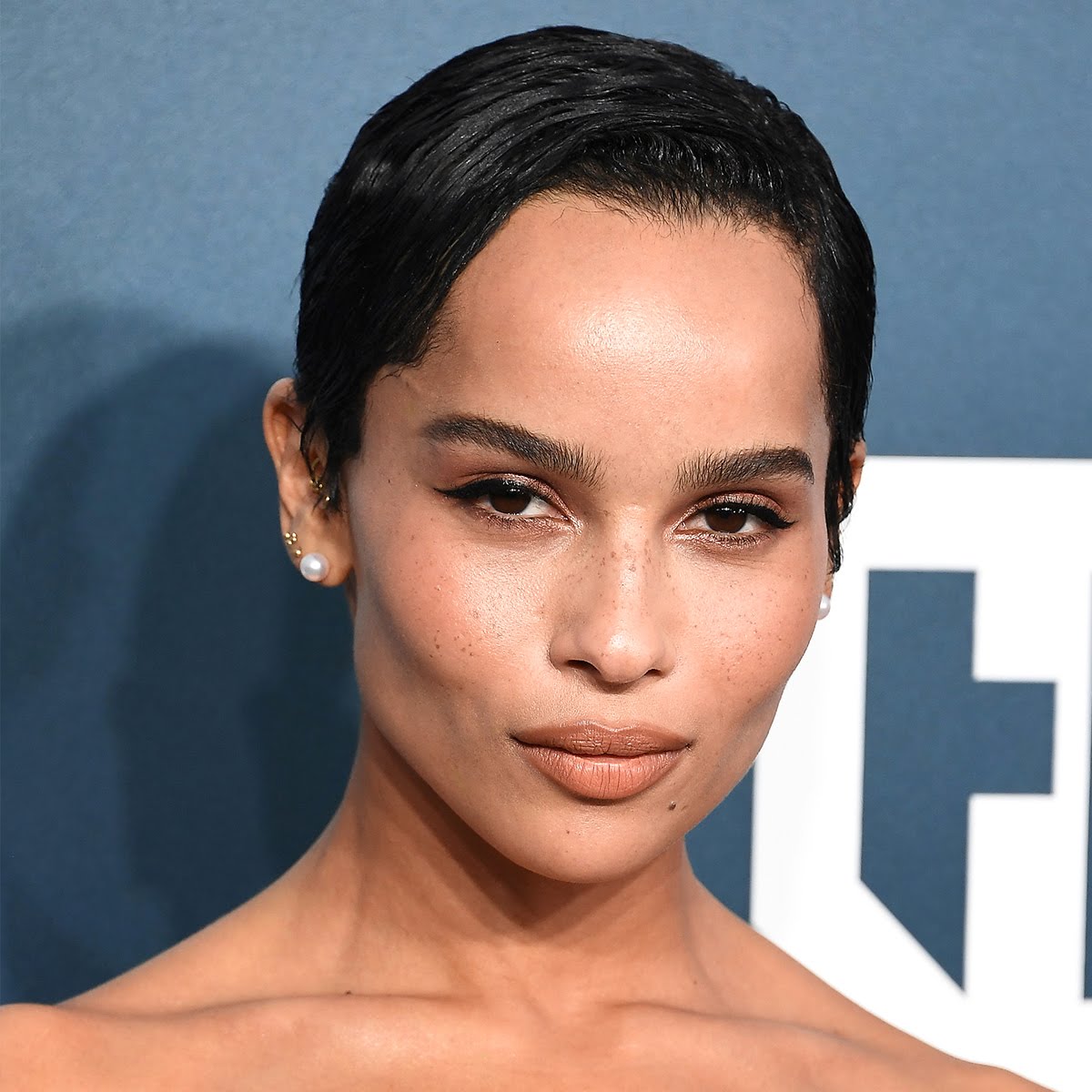 DC COMICS AND ARROWVERSE : New Catwoman Zoe Kravitz Stuns at the Screen