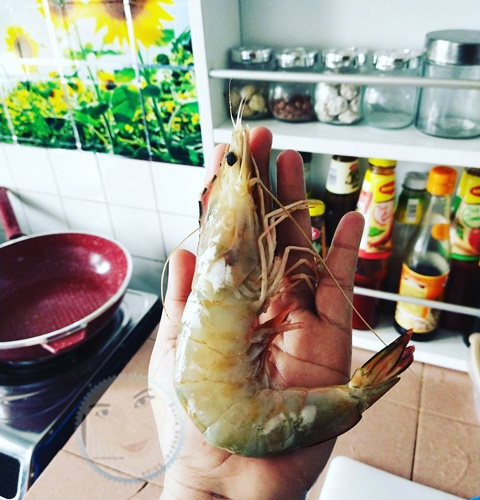 Arti Mimpi Dapat Udang Rasanya