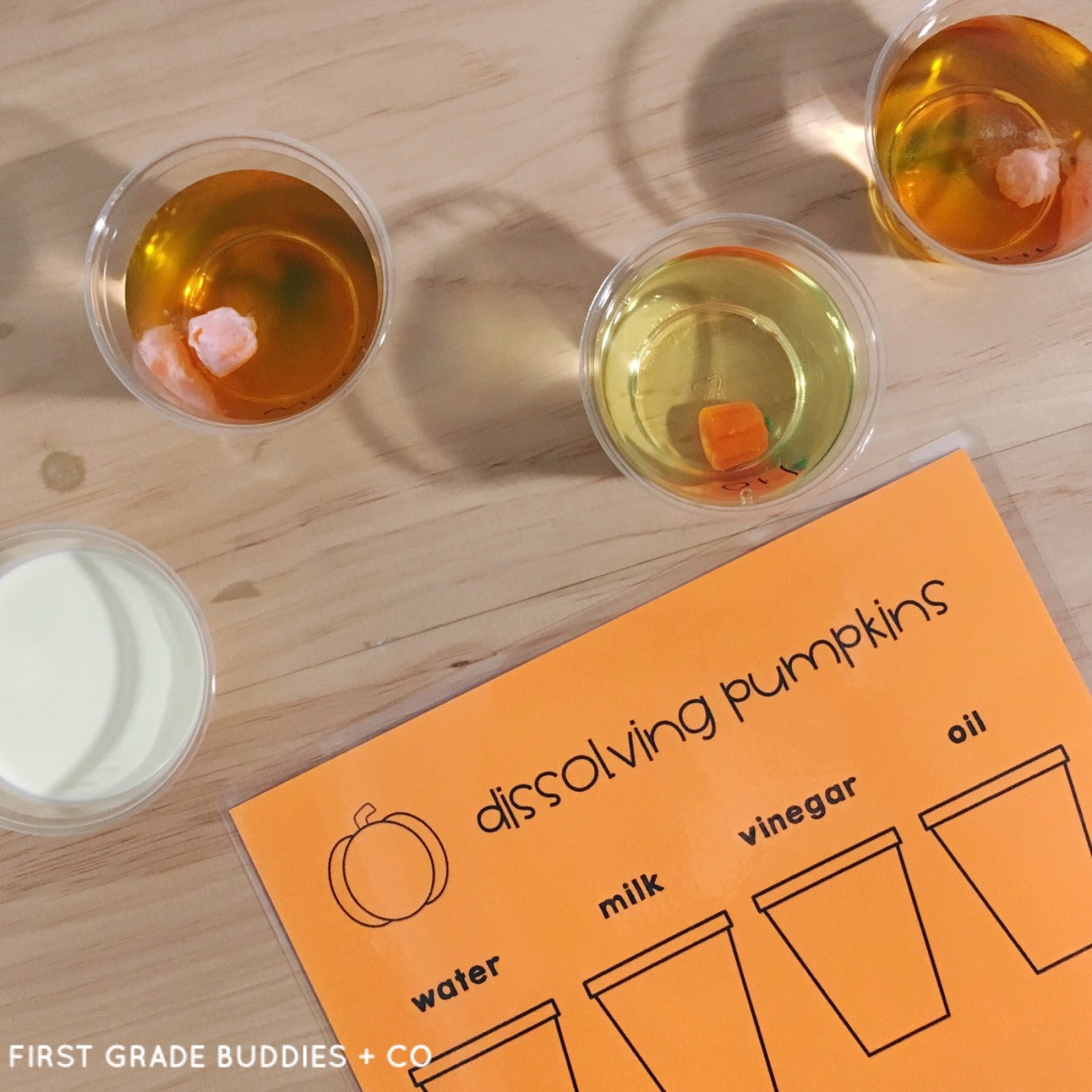 Simple Science: Dissolving Pumpkins | First Grade Buddies
