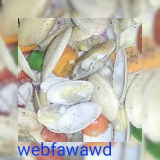 فوائد الجندوفلي بلح البحر للرجال وكيفية عمل شوربة الجندوفلي فوائد الجندوفلي بلح البحر للرجال وكيفية عمل شوربة الجندوفلي
