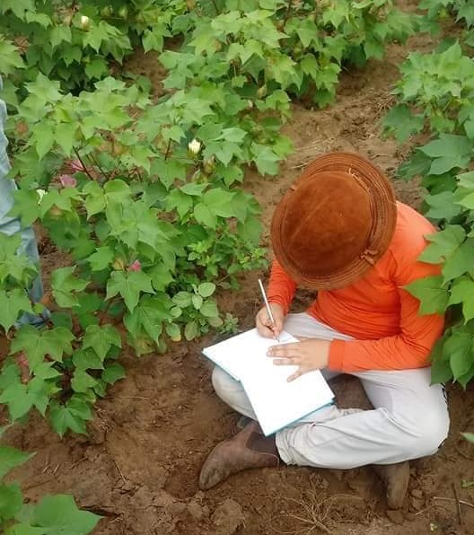 Educação do Campo