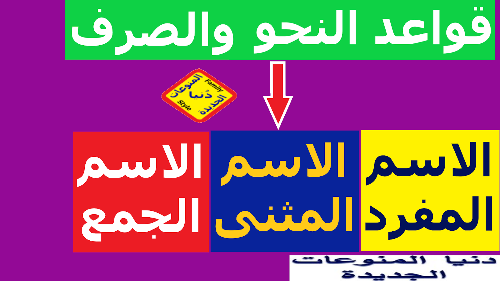 المفرد والمثنى والجمع جمع المذكر والمؤنث والتكسير قواعد النحو والصرف اللغة العربية