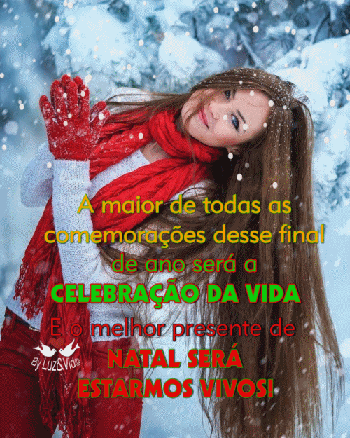 novo145%2528MB%2529maryluz.gif