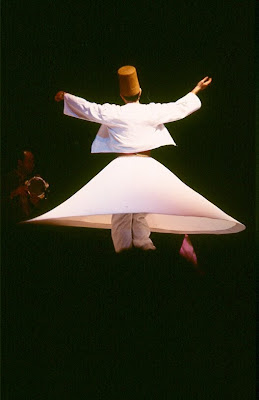 papavero di campo: Dervisci danzanti Pioppo nero Papaveri