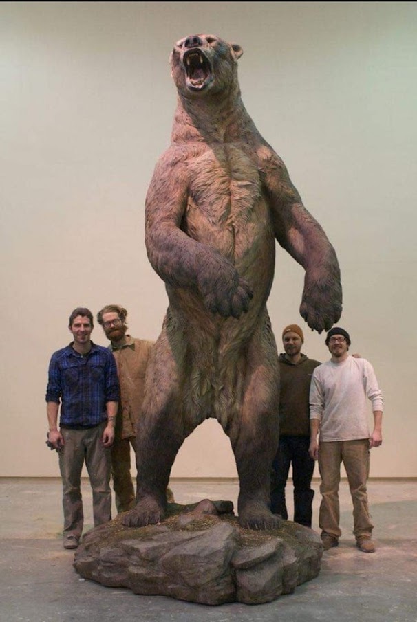 daily timewaster: ice age short faced bear.