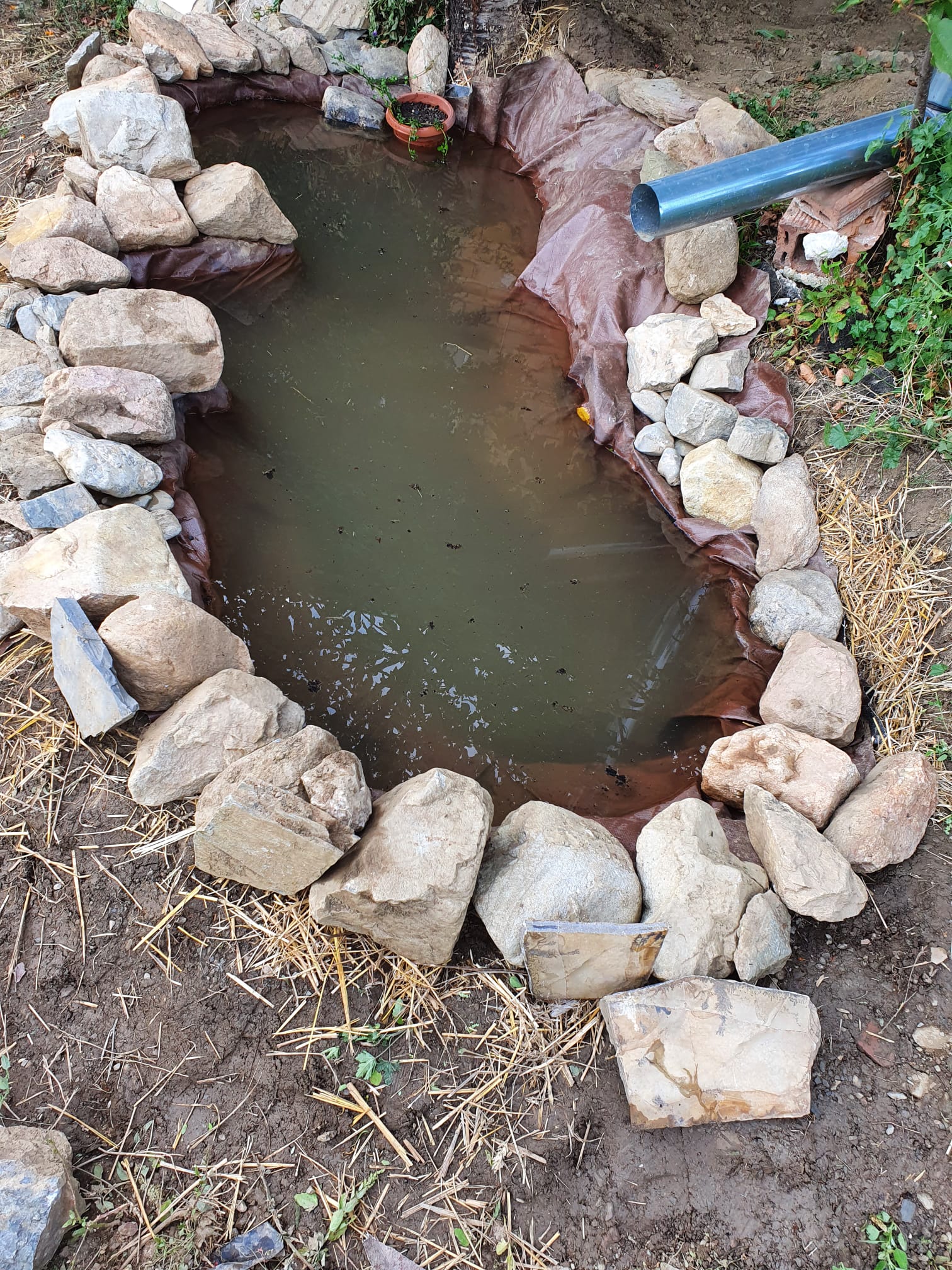Balkan Ecology Project Making a Small Wildlife Pond on a Slope Week