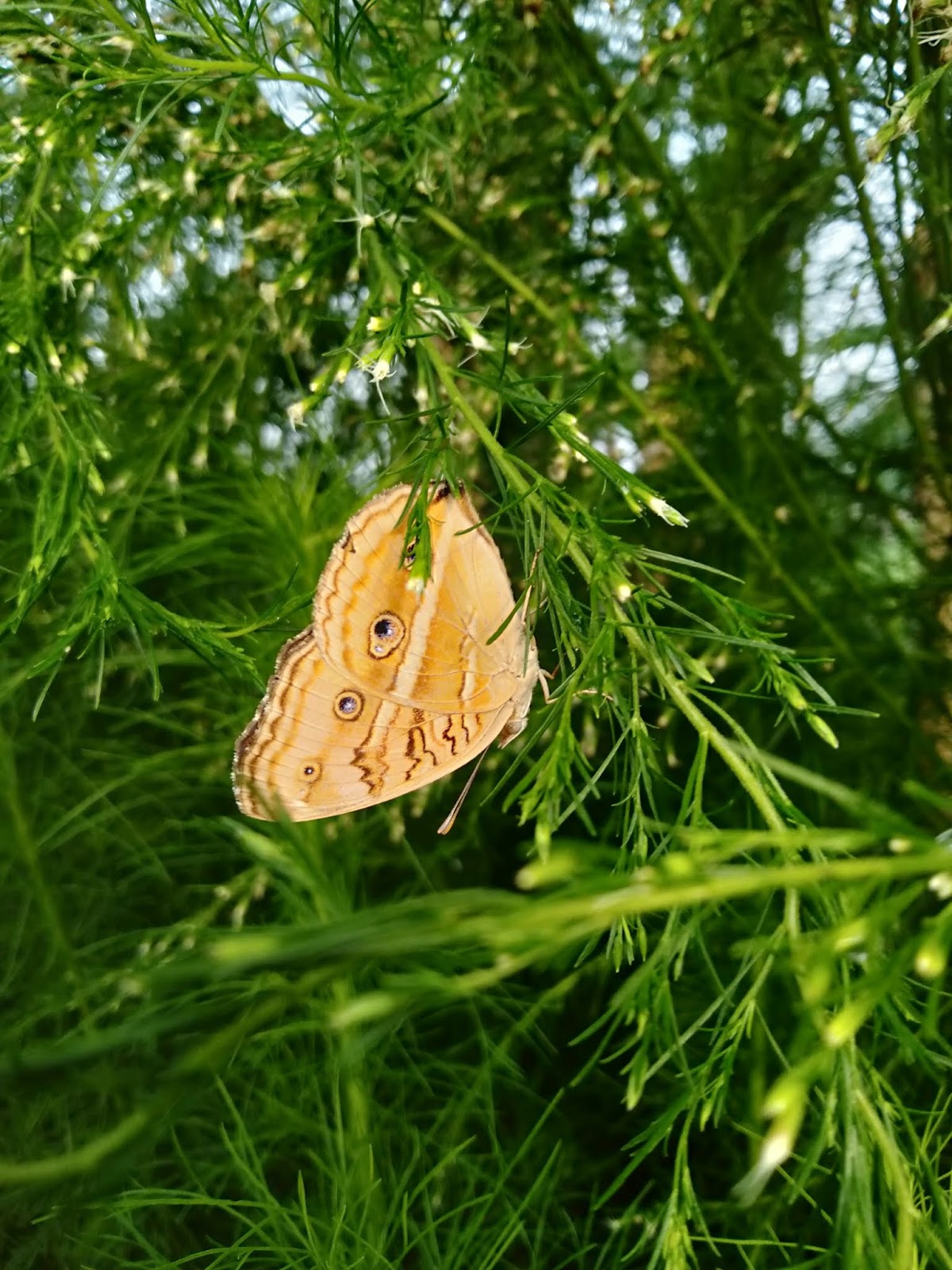 Beriwisata di Samping Rumah Media Wisata
