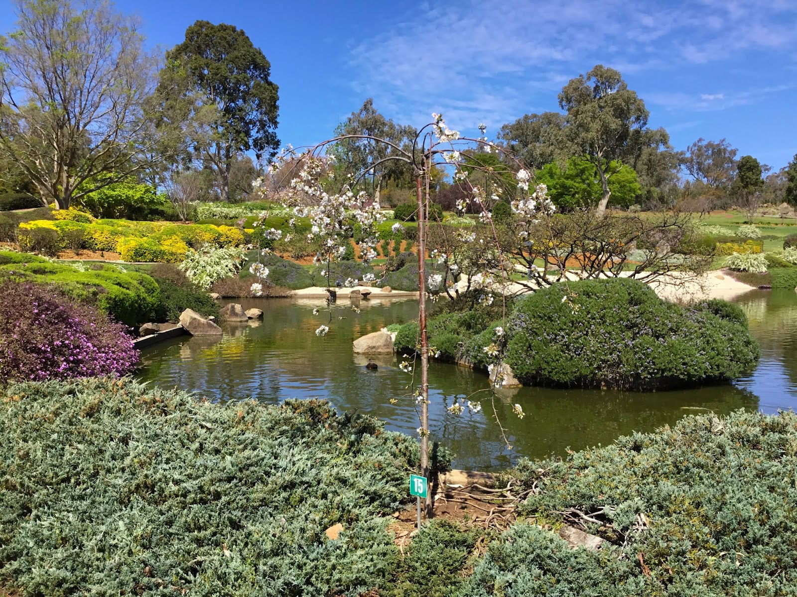 Warbo's Blog Visit to the Japanese Gardens, Cowra, NSW