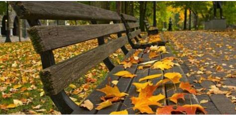 مواليد فصل الخريف.. كيف يؤثر الخريف على طباعهم؟