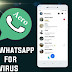 Whatsapp For Sending Virus To Your Friend | Send Virus Throw This Whatsapp