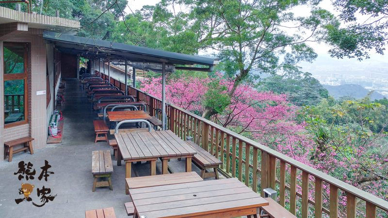 桂竹園景觀餐廳|土城桂竹園|桂竹園|土城櫻花|土城賞櫻