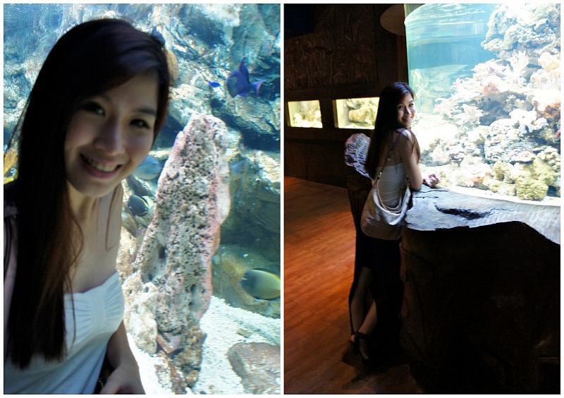 E.B Blue Coral AquariumKL Tower