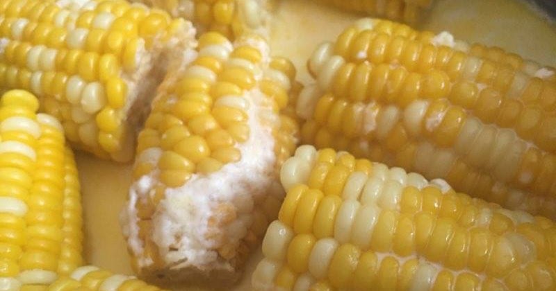 Cara Buat Jagung Manis Masak Susu Sedap Viral Sina Shaari