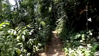 Jalan setapak menuju curug Gendang dan curug Putri banten