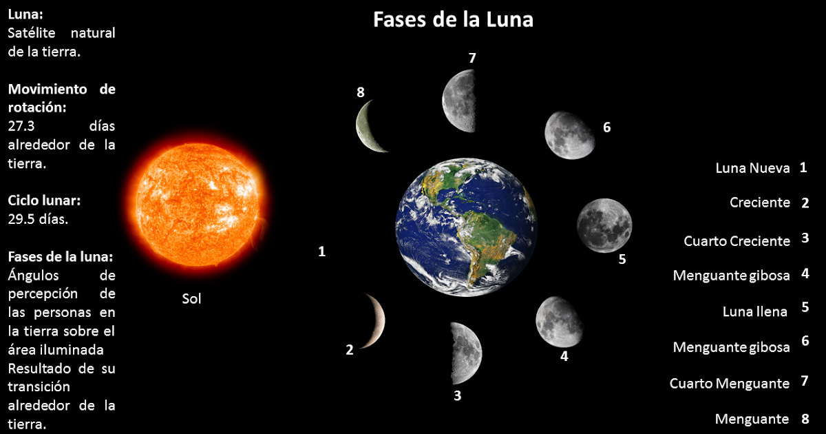 FASES DE LA LUNA