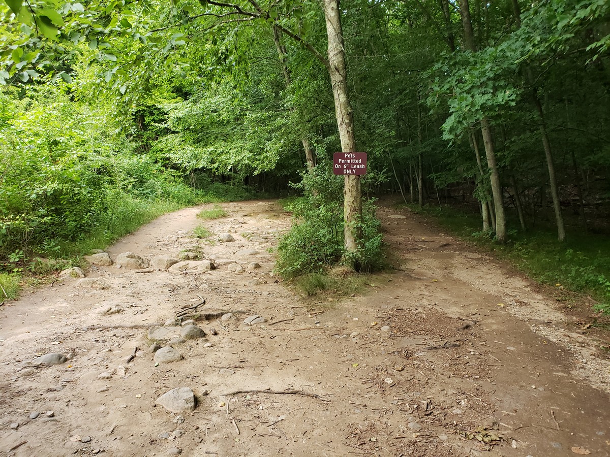 Harriman Hiker Harriman State Park and Beyond Stony Brook Evening Loop