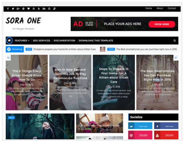 Fully Customize Blogger Advance Themes