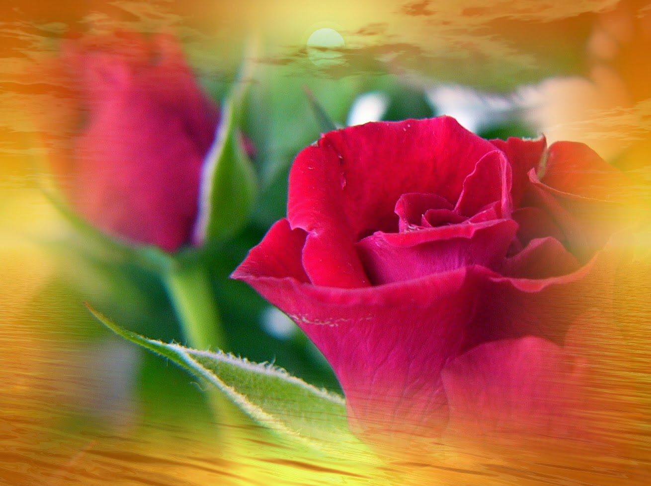 Das Leben ist Bunt Österreichischer Dichter, Aloys Blumauer