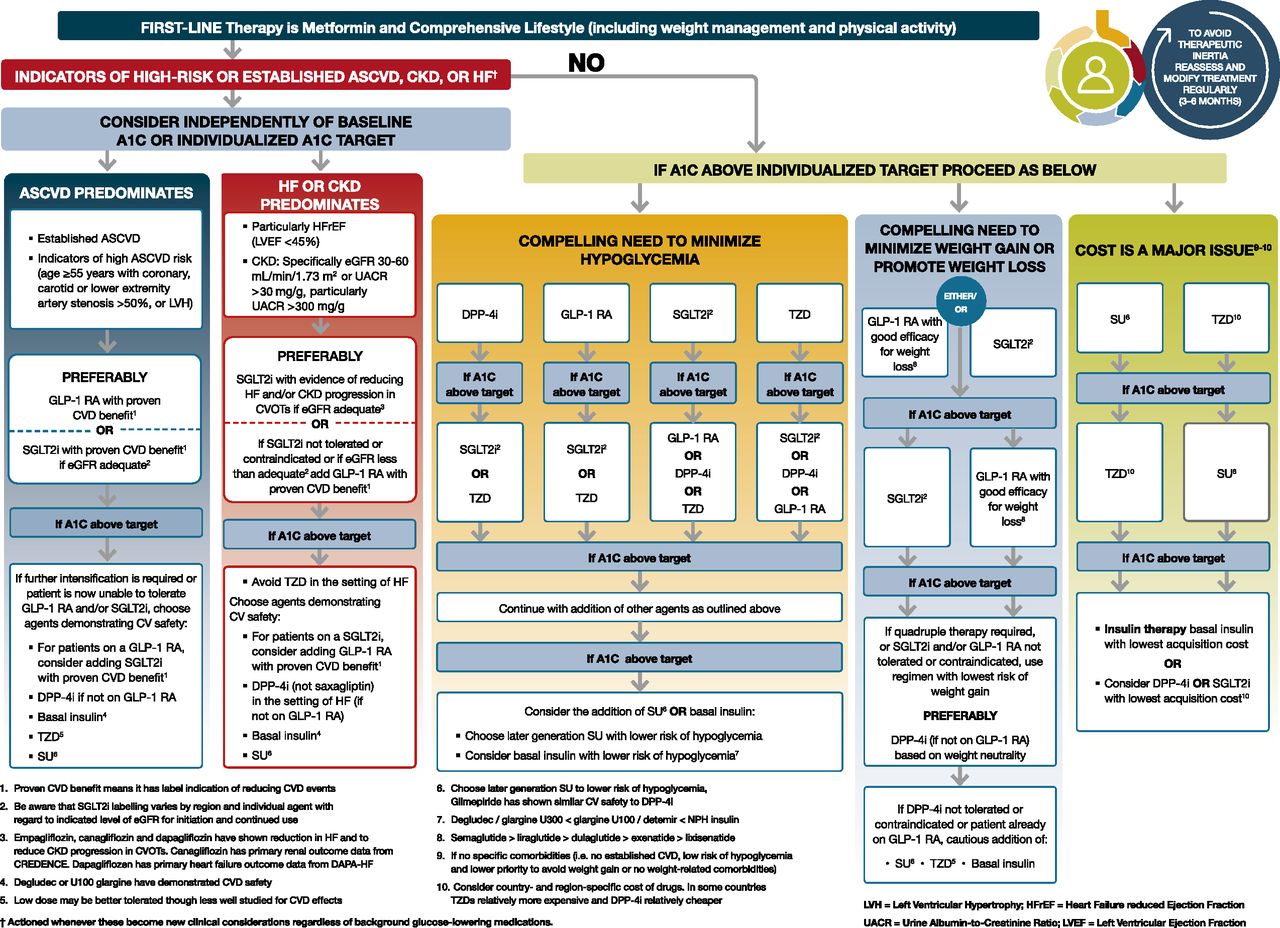Educacion Diabetologica