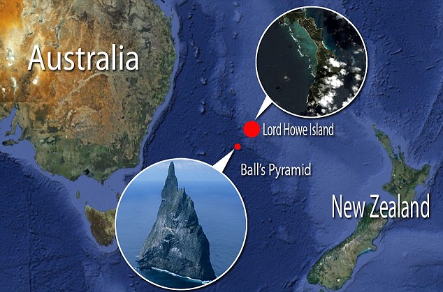 Ball's pyramid island ball's pyramid, balls pyramid, pyramid ball, ball pyramid, island ball, climbing balls pyramid, balls pyramid australia, climbing ball's pyramid, ball's pyramid island, climbing balls, rock climbing pyramid,