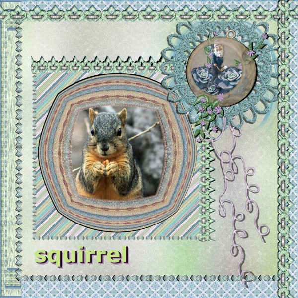 April 2016 Squirrel