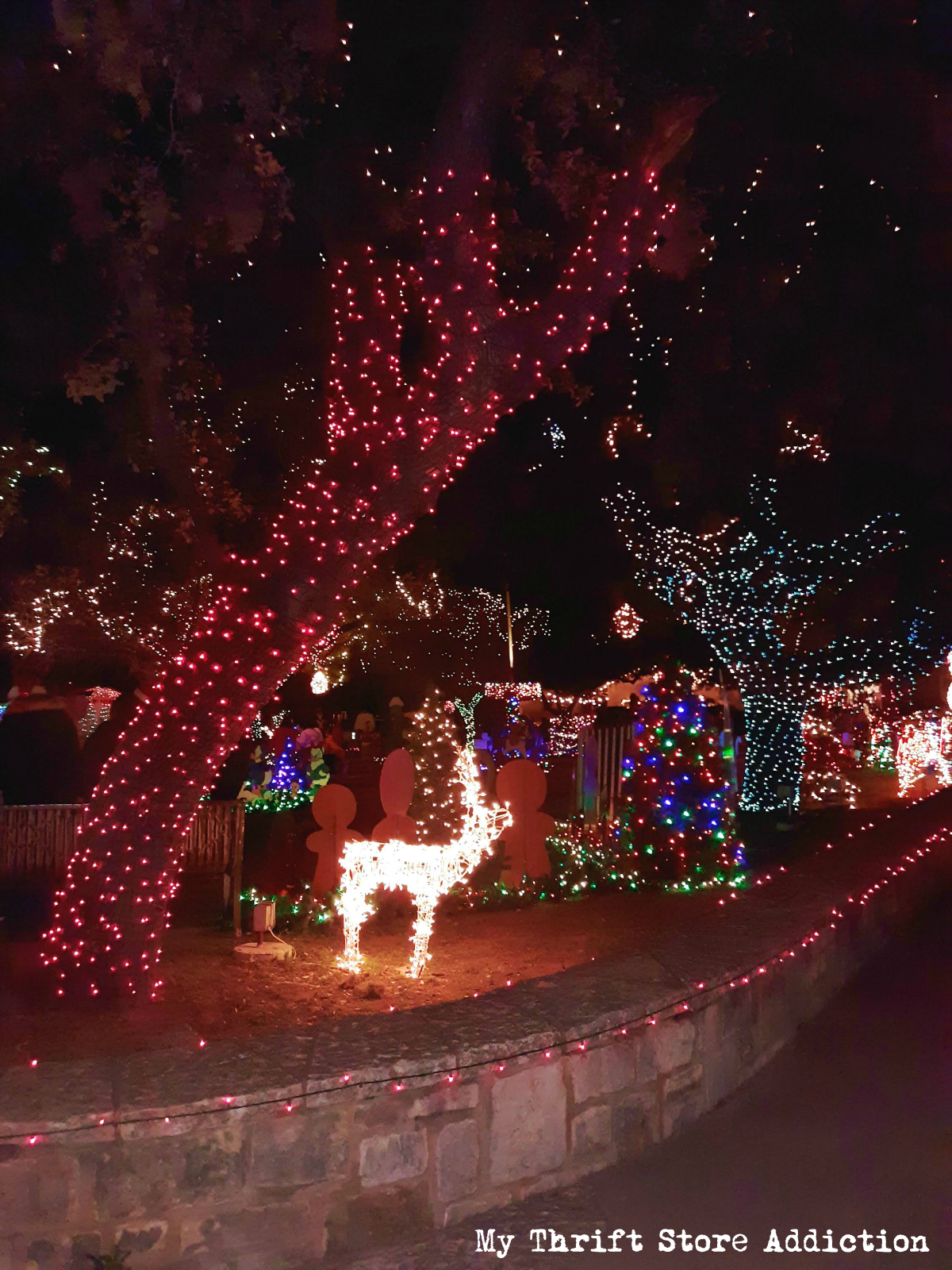 Johnson City Christmas lights
