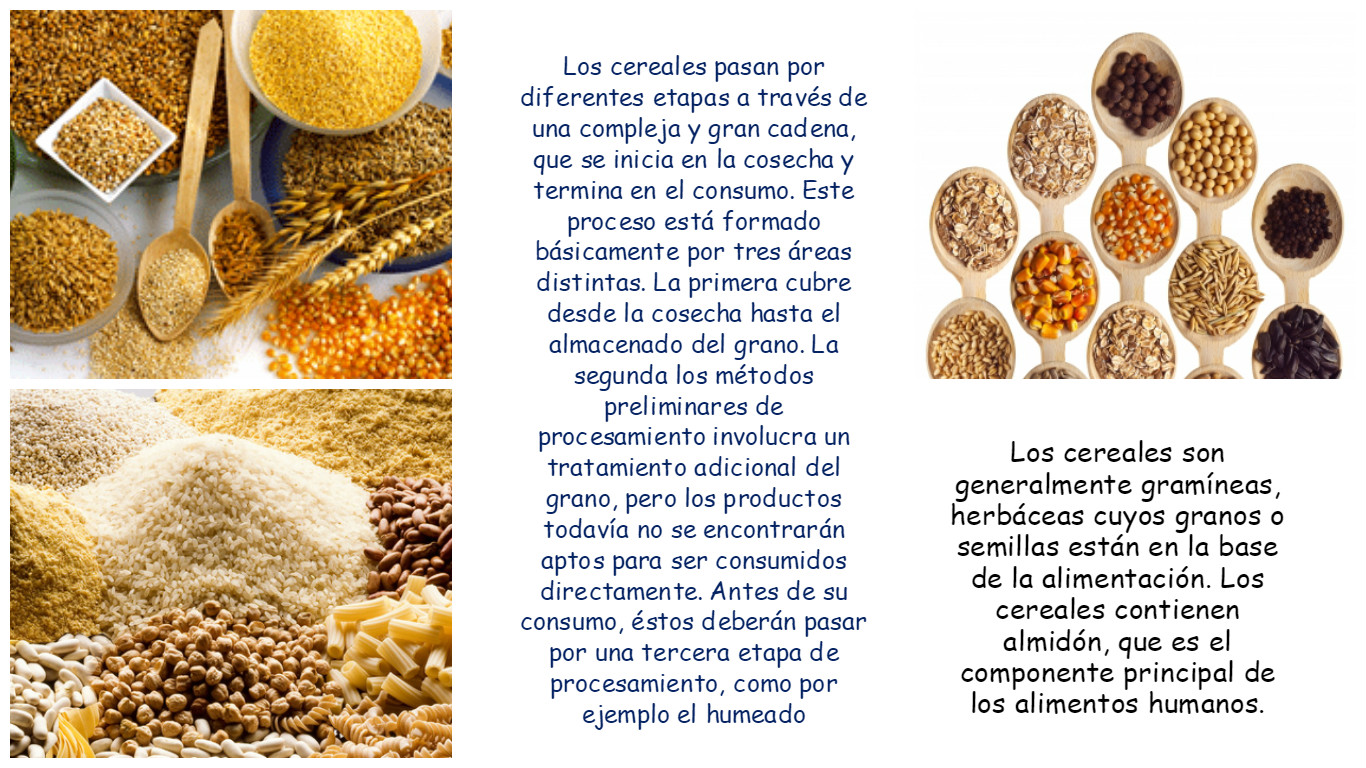 2016 Año de los Cereales