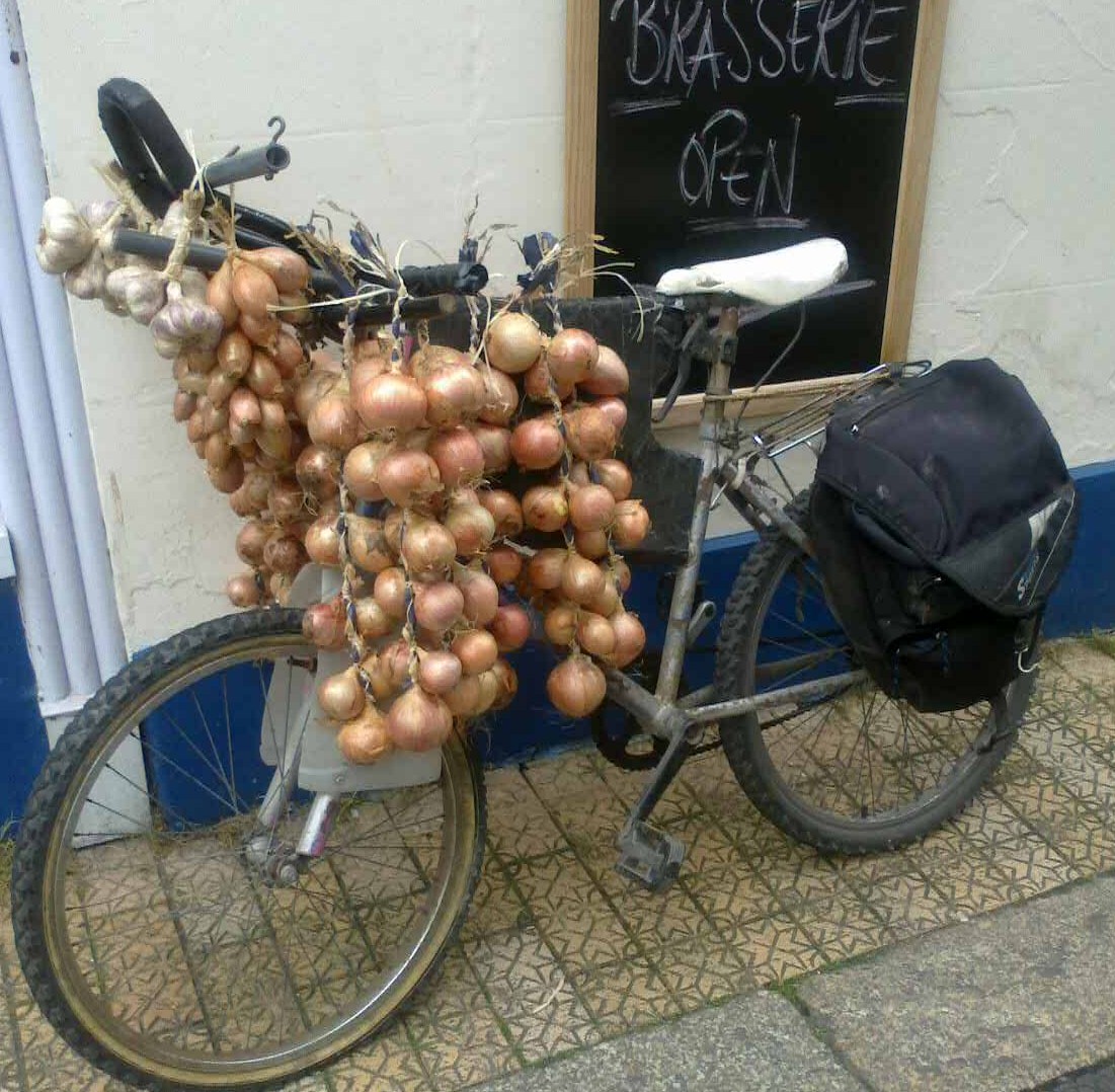 Starburst Boutique French Onion Man