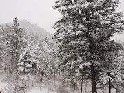 Here's my attempt to catch the snowflakes falling: