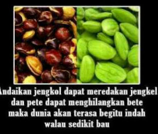 Dp bbm lucu jengkol dan pete kumpulan display picture Dp bbm lucu jengkol dan pete kumpulan display picture