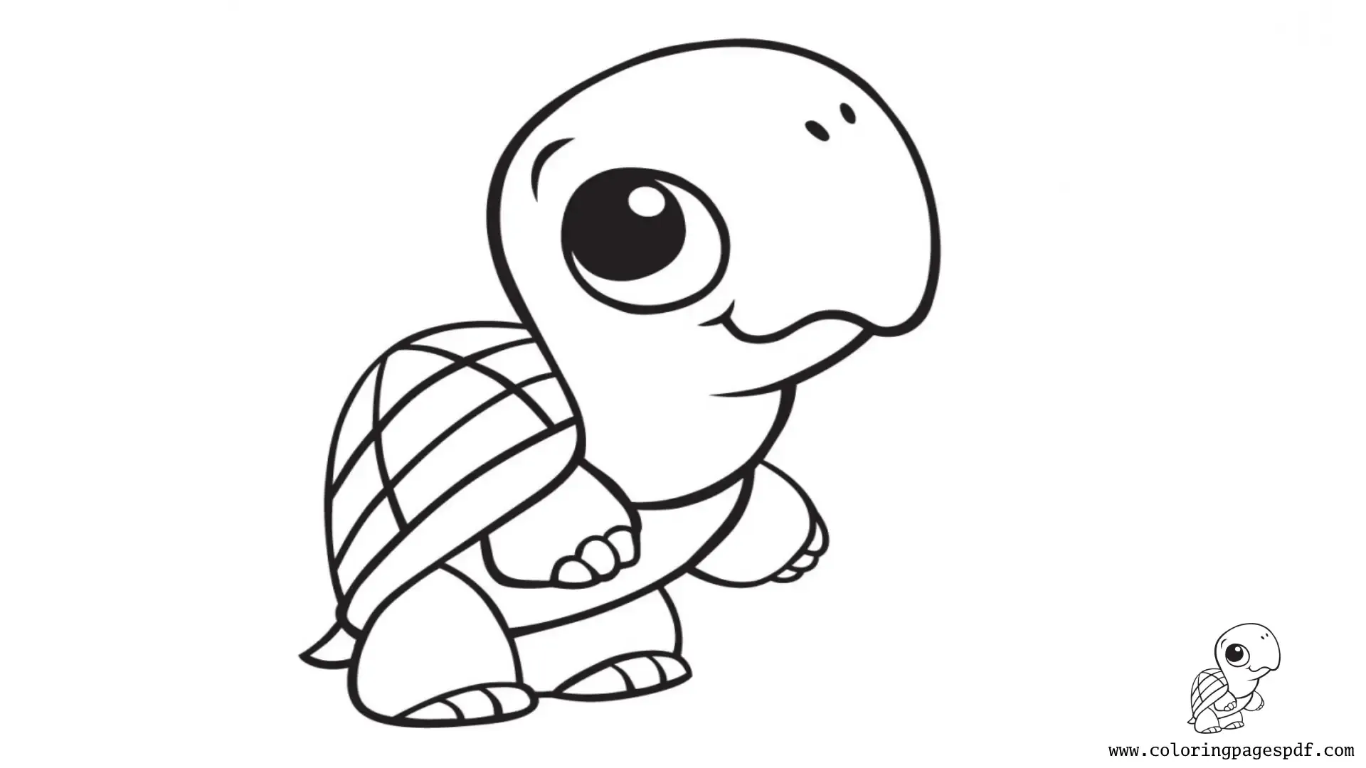 Coloring Page Of A Mini Cute Turtle
