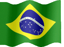 Bandeiras dos Estados Brasileiros-Png-Jpg e Gifs