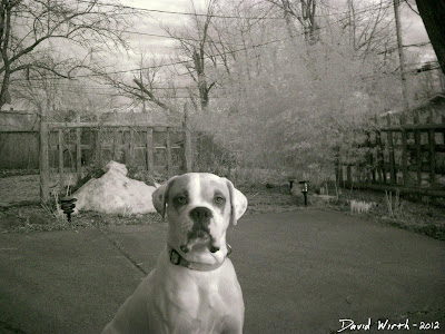 infrared photo photoshop infrared photo photoshop