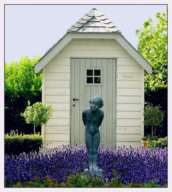 English Lavender Hidcote Blue Picture of Lavender surrounding Statue