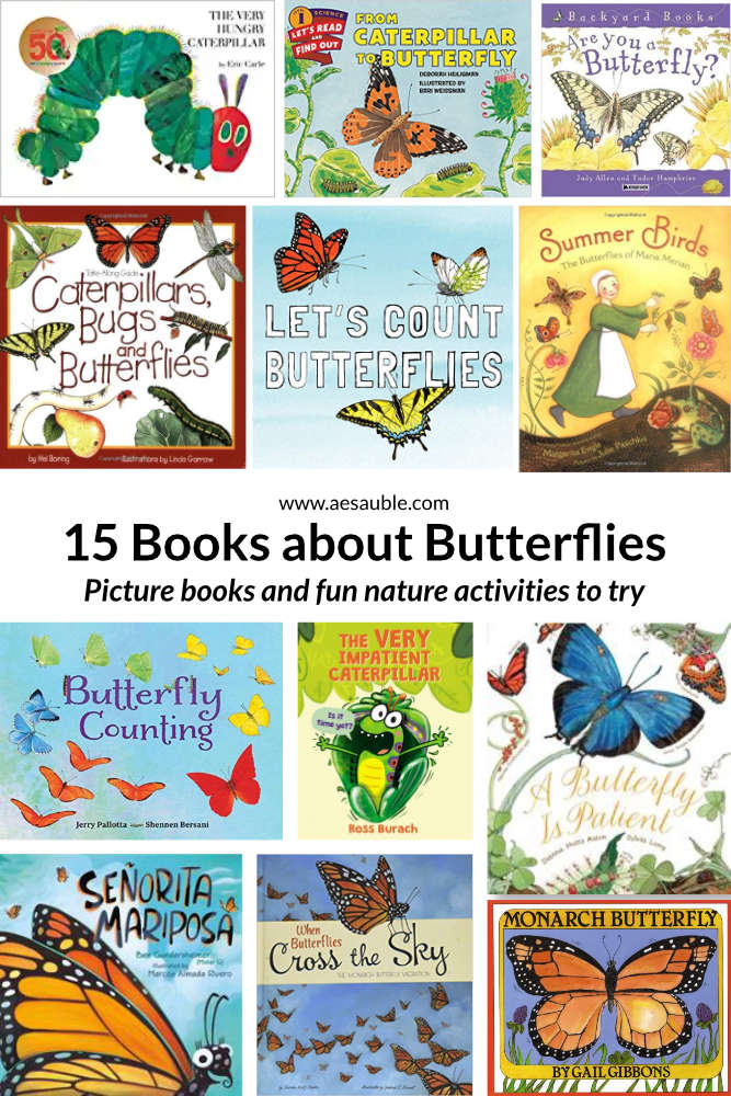Butterflies Books and Crafts