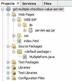 Project Set Up in NetBeans IDE
