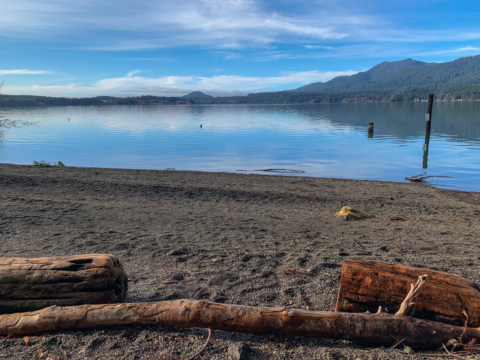 Gravel Beach Lake Quinault