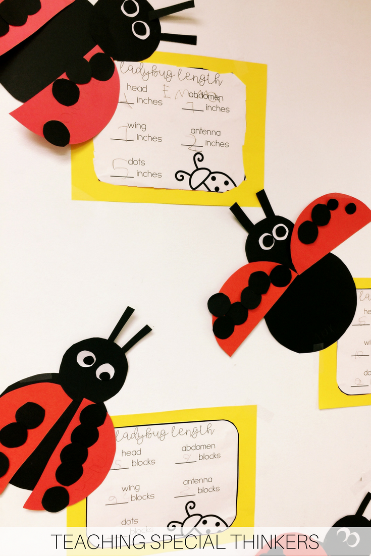 Ladybug Length Measurement Creativity