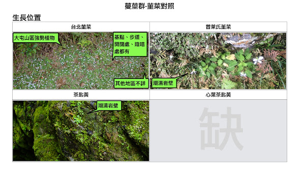 raw-image