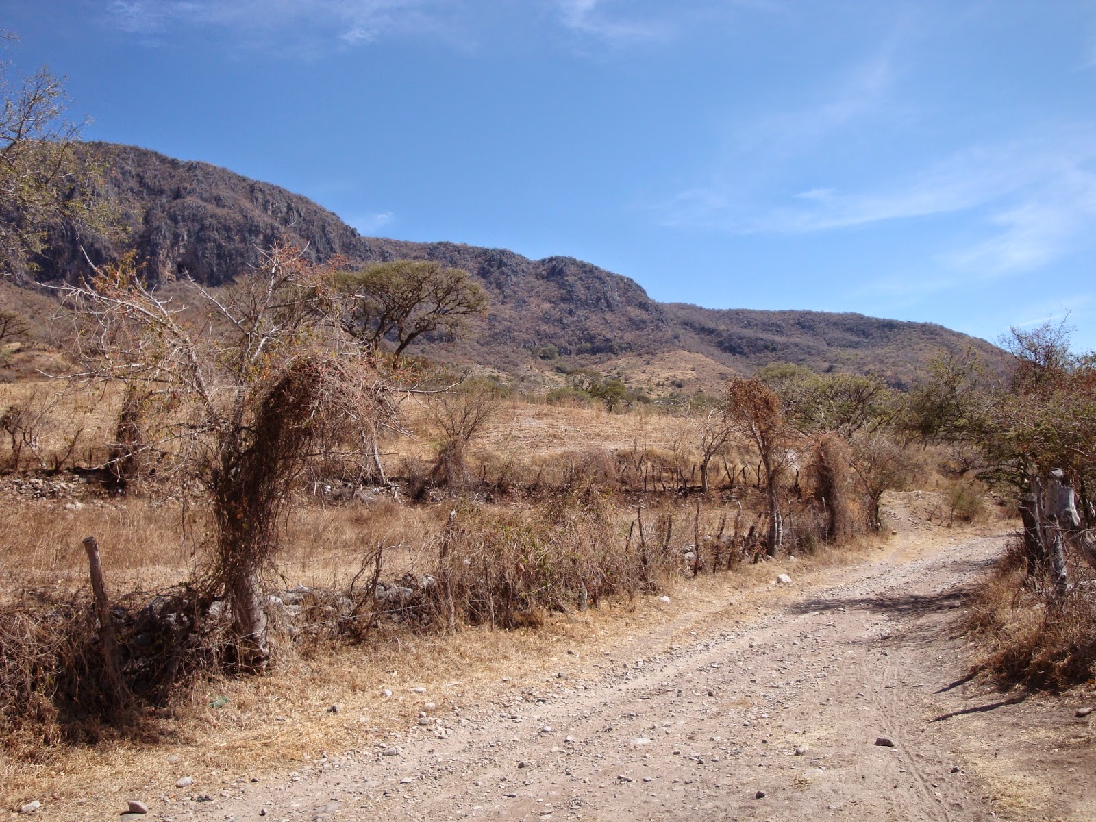 OXTOTITLAN: Paisaje de Oxtotitlán en el mes de enero