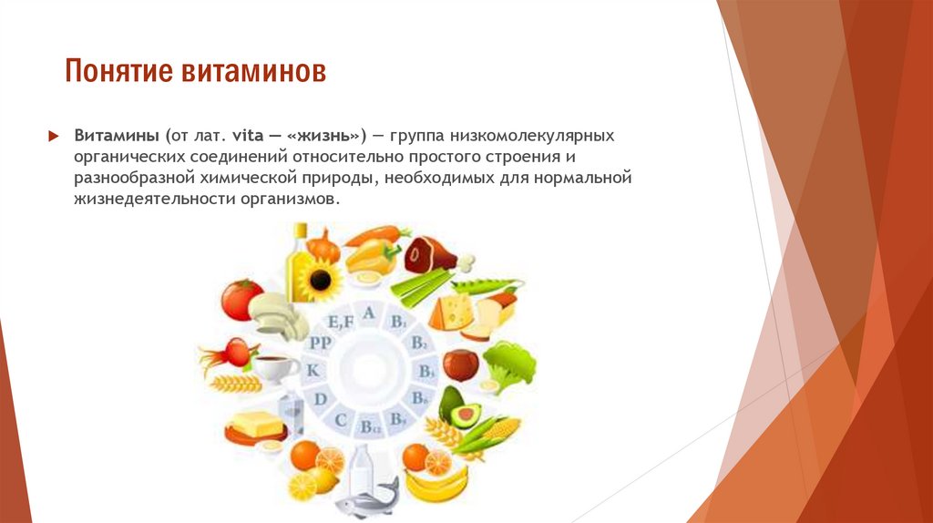 водорастворимые и жирорастворимые витамины таблица. аскорбиновая кислота классификация витаминов. витамины понятие классификация. витамины понятие классификация. свойства витаминов.