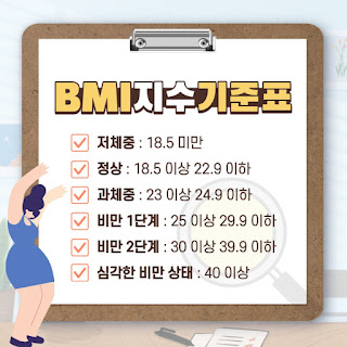 bmi의 의미를 계산하는 체질량 지수로 비만도 체크! 4