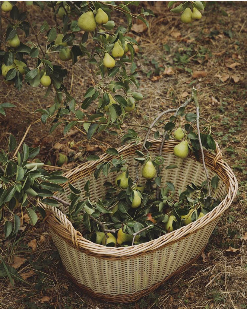 From Instagram: Caught up in Cottagecore