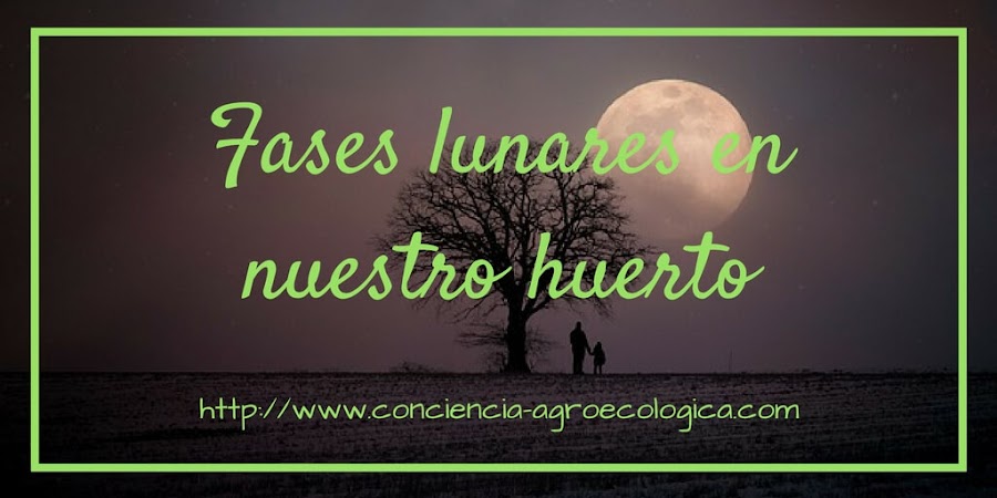 influencia de las fases lunares en la agricultura