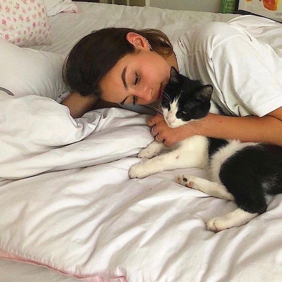 Trending: Quarantine Cat Lady