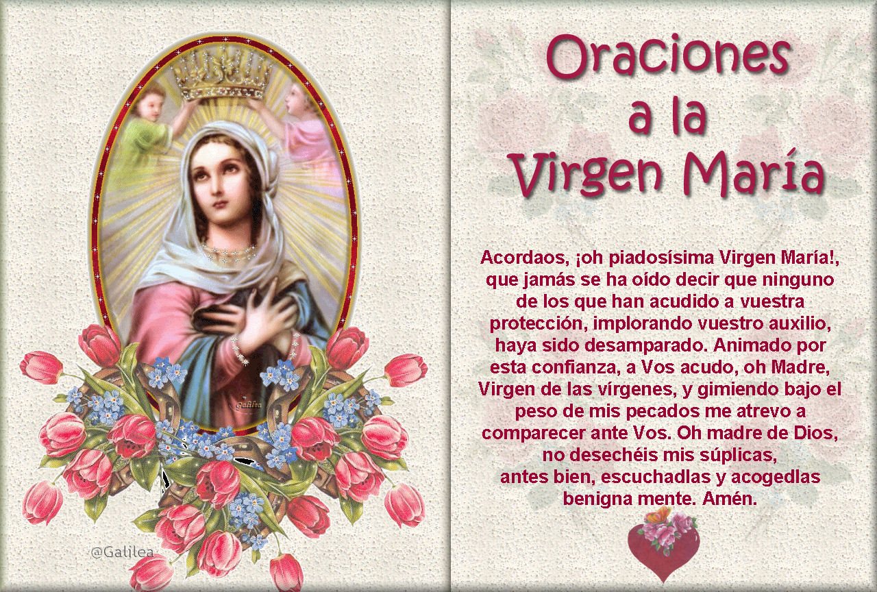 Corazón De Jesús En Vos Confío Oración A La Virgen María